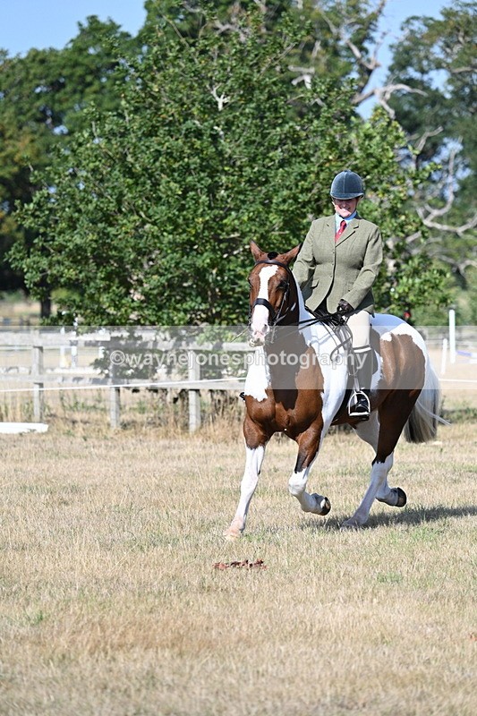 WJ7_2857 - Class 8 Ridden Tack & Turnout