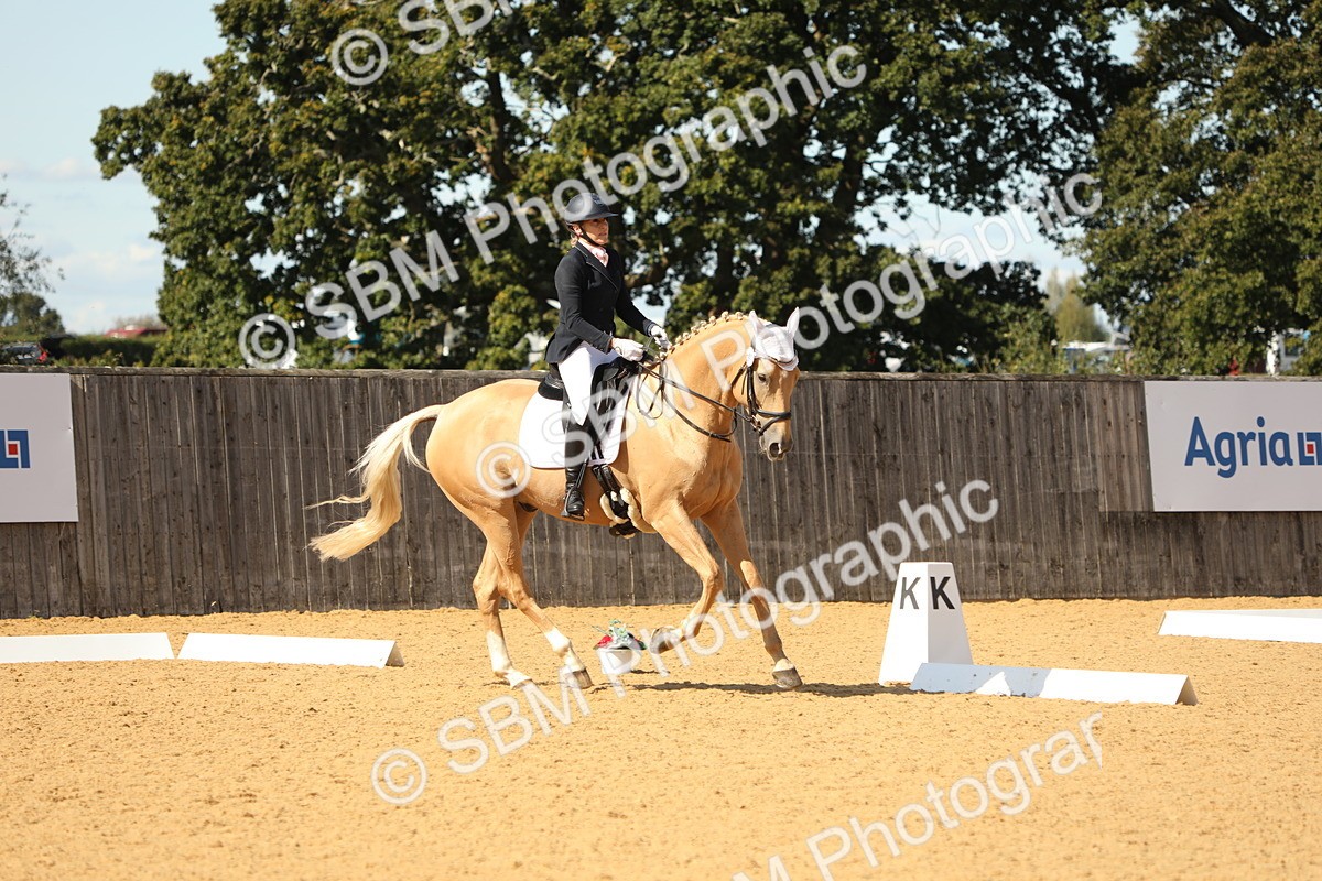 SBM_22312 - D17 - Grand Tour Championship - Novice 27
