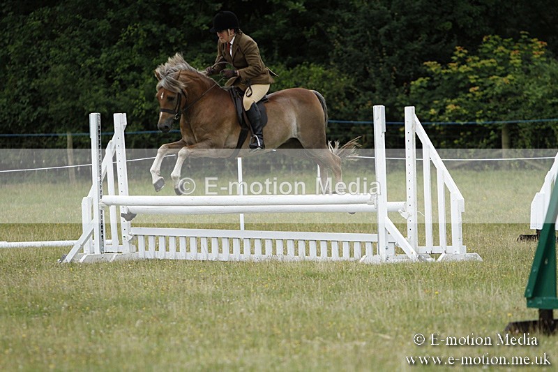 BVR160717-138 - Ring 3 BVRC Show 16/07/17