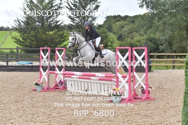 BPP_6800 - CLASS 1 Club/ Unaffiliated 80cms Open