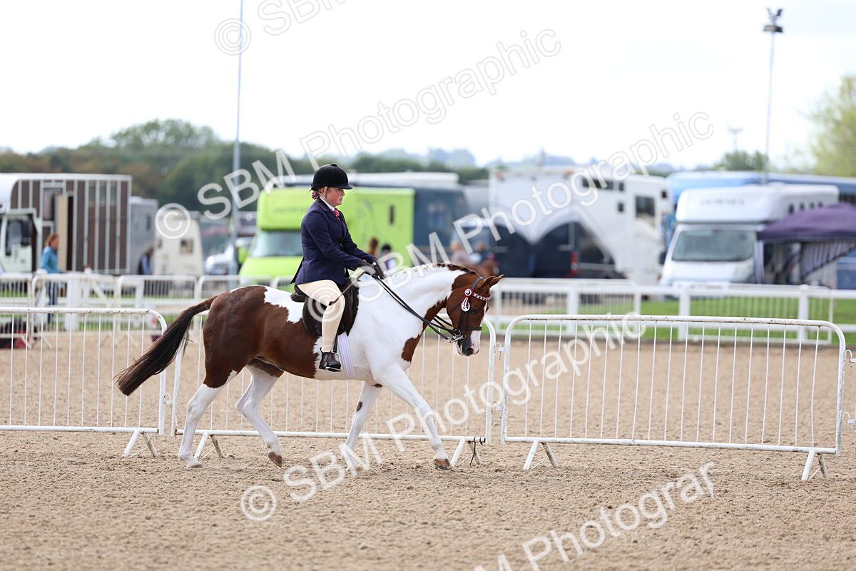 SBM_10070 - Class 304 - Ridden Part Bred Horse Pony