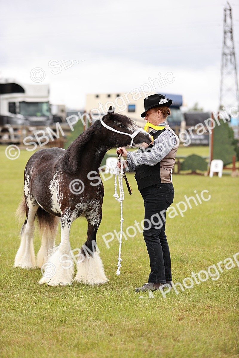 SBM_06007 - Class 39-41 TGCA In Hand and Ridden