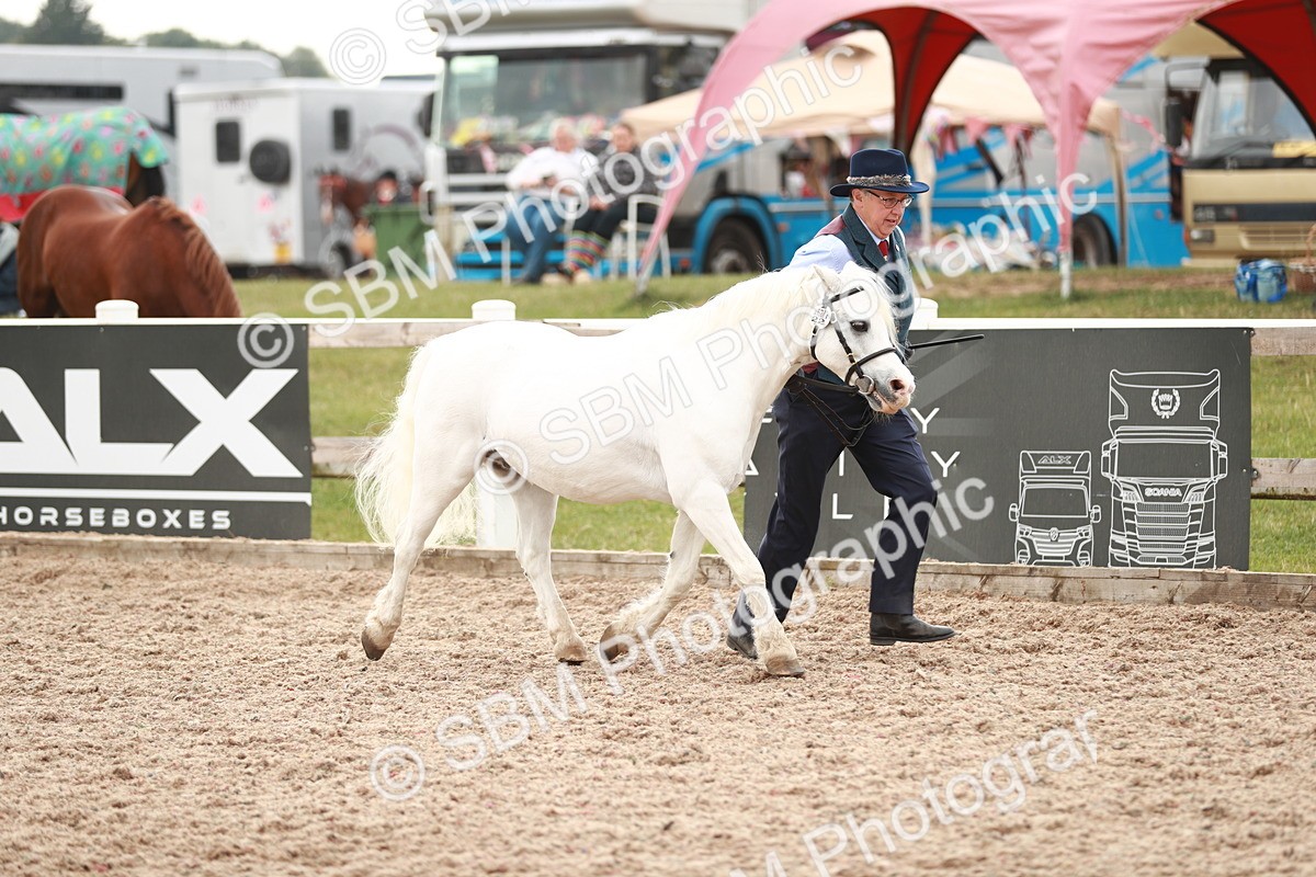 SBM_12449 - Class 207 IH M&M