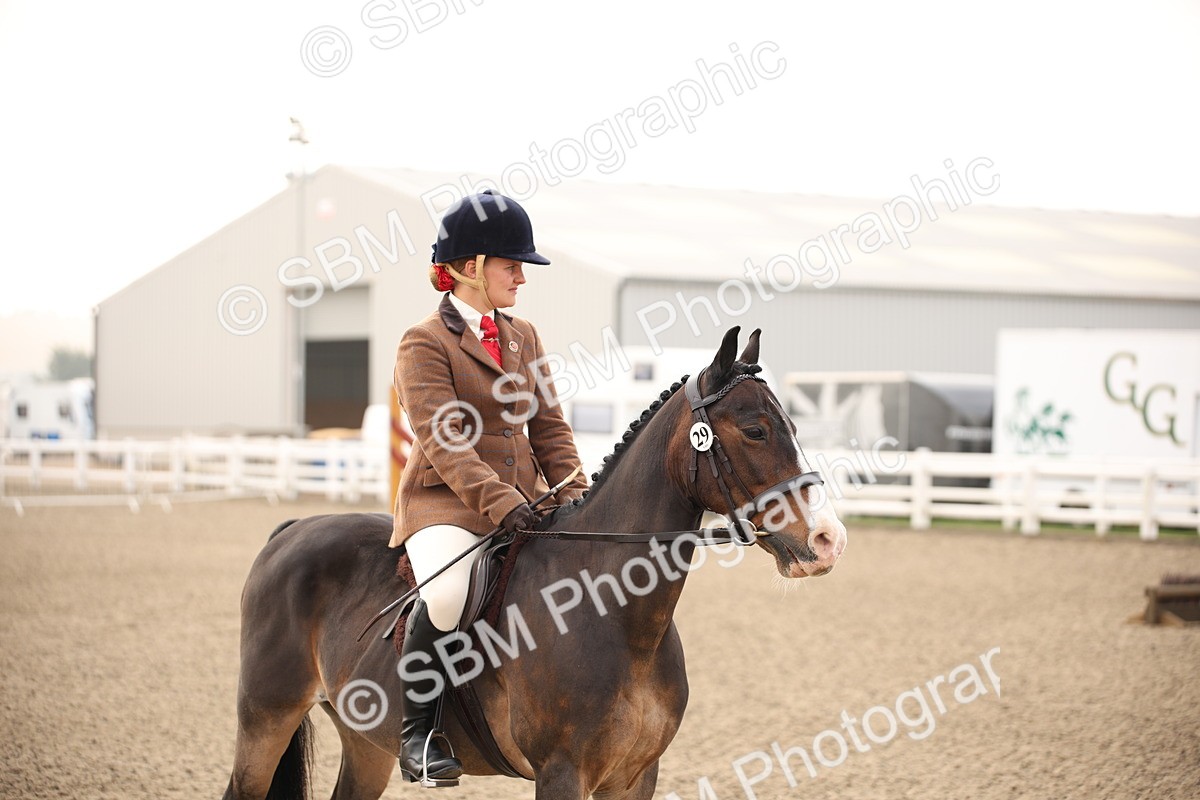 SBM_09792 - Class 401 Riding Club Pony