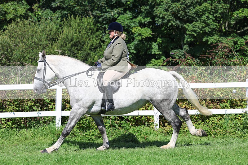 3E7A8398 - Class 4: Novice working Hunter