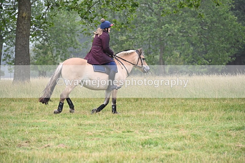 WJ6_0759 - Time at Kitchen Jump 11:34 to 12:28