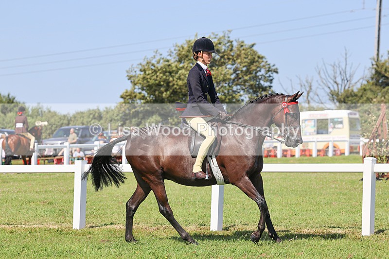 IMG_1891 - Class 33: Show Pony 148cm and under