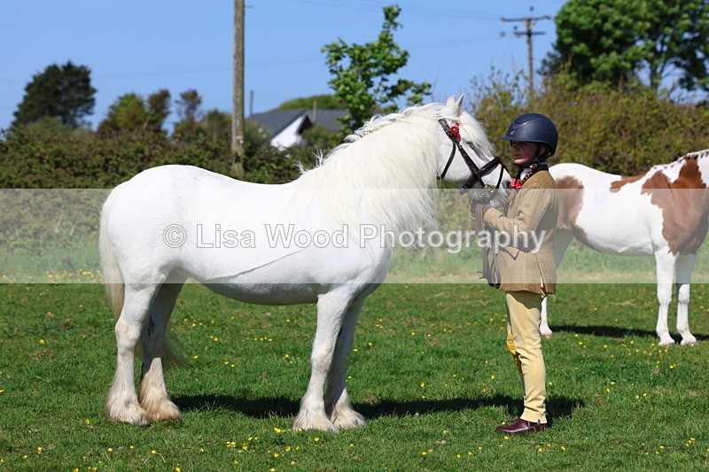 3E7A9893 - Class 17: Young Handler