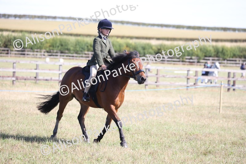 20260906-2234 - Class 16 - Family Pony