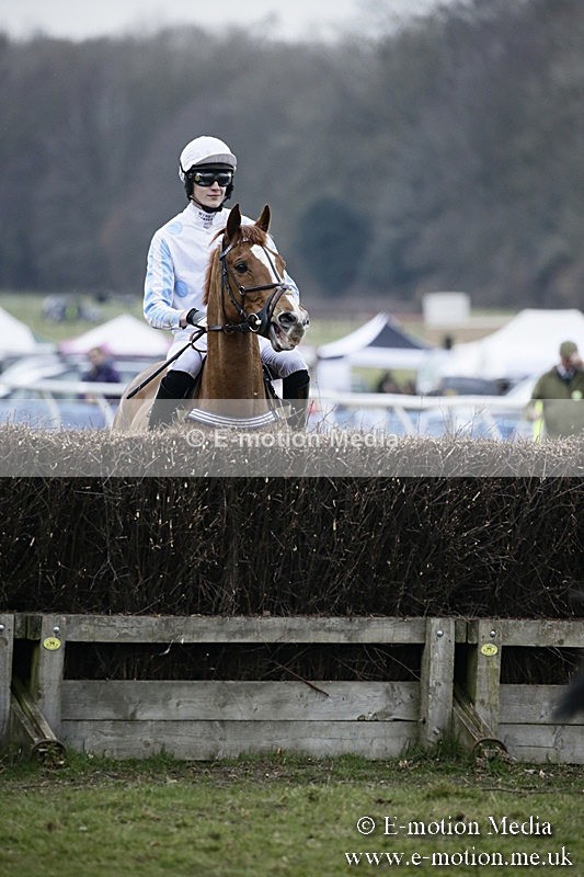 PtP 110318 528 - Hampshire Hunt Point-to-Point Hackwood Park 11/03/18