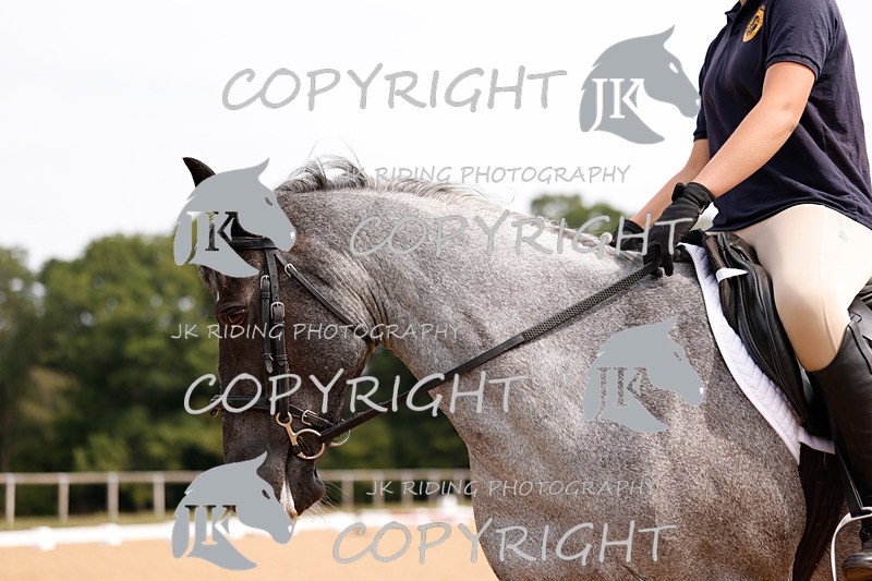 _R6A2844 - Dressage Morning