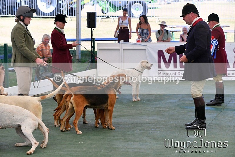 WJ5_1121 - Berks & Bucks at the Great Yorkshire Show 2025