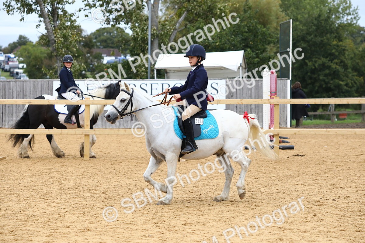SBM_68147 - J3b - Mini Tour Junior Pony 40cm Championship