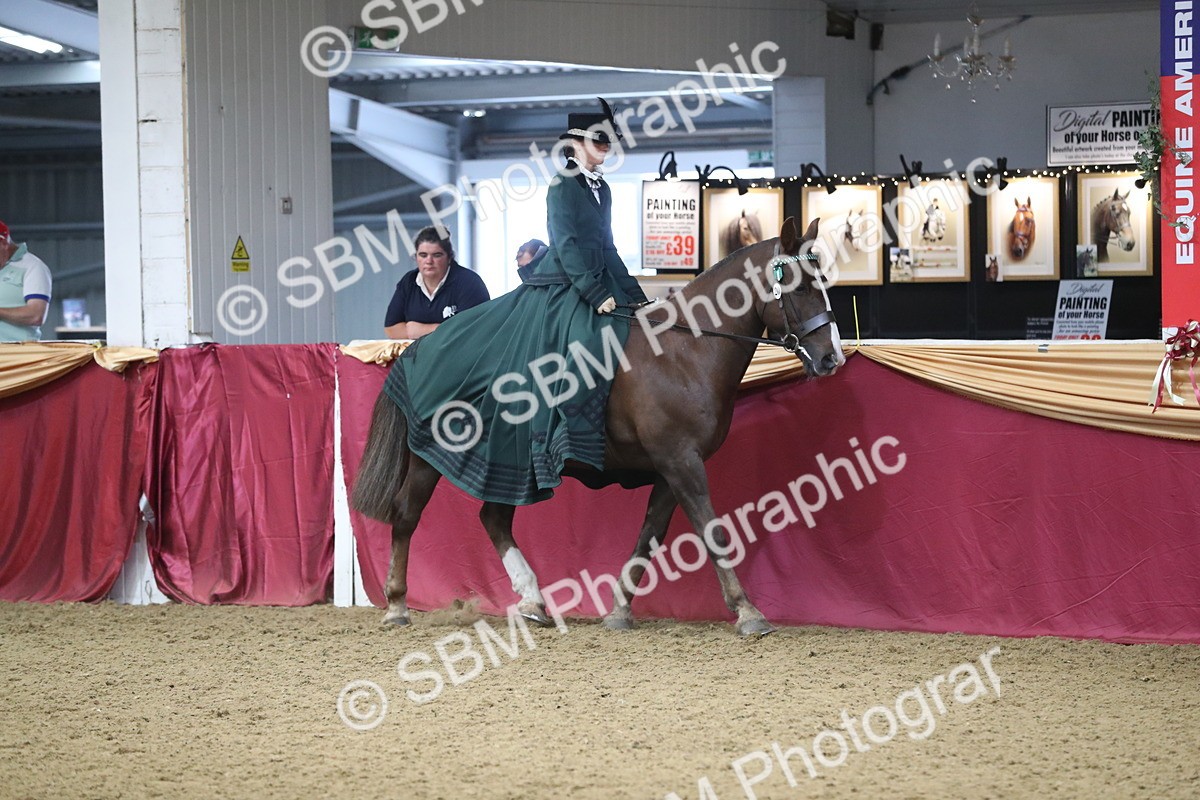 SBM_12105 - Class 107 Ridden Costume- Astride Adult (20+)