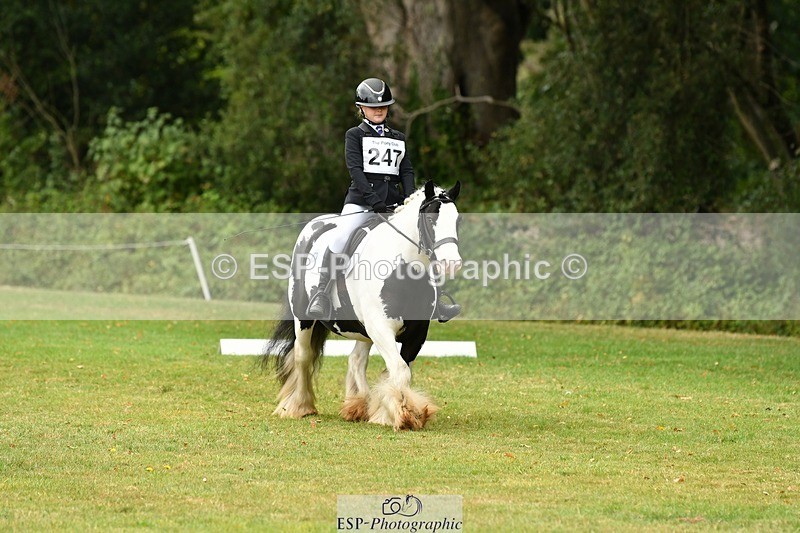 250820A-122536-05593 - 12 to 13.00