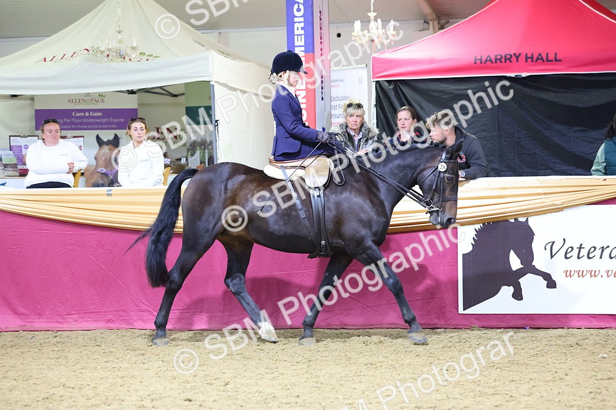 0B8A4249 - Class L Side Saddle Champ
