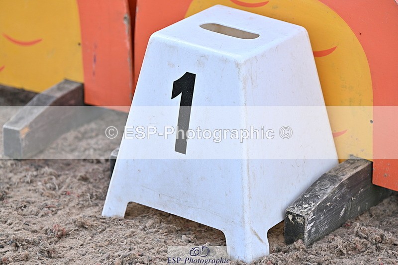 240605A-100010-00001 - Cls 1 British Novice and 90cm Open