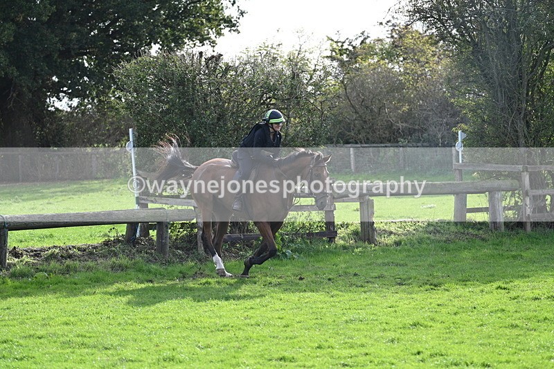 WJ7_0943 - Time 14:27 to 15:11