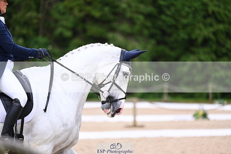 240524-122552-09294 - 526-BROOKFIELD_BENJAMIN_BOUNCE-Sophie_Callard