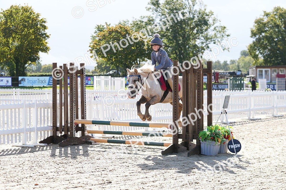 SBM_38318 - J6 - Junior Pony 55cm Championship