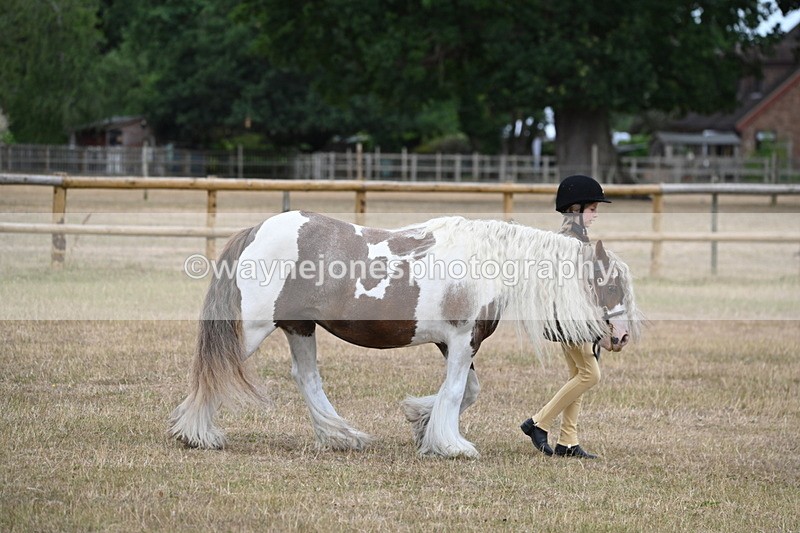 WJ6_7864 - Class 10 Coloured in Hand