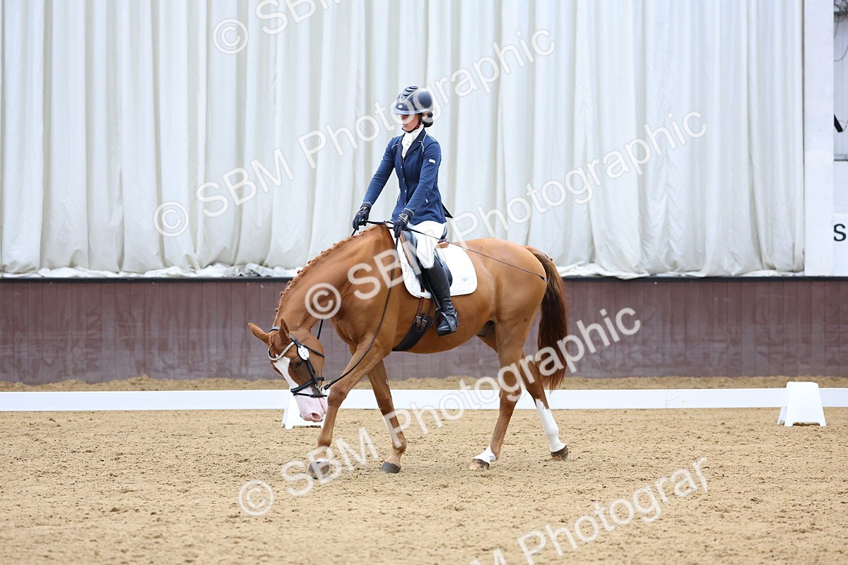 SBM_002419 - Novice 2