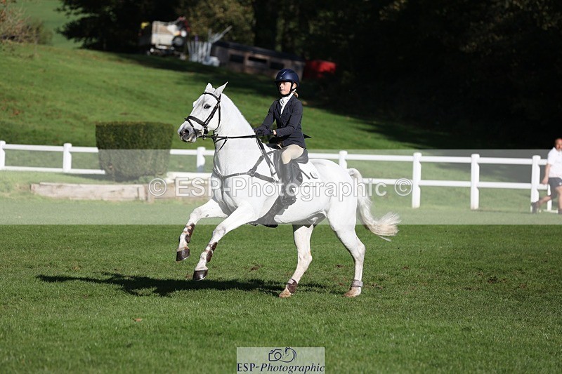 231022-110447-24937 - 653-GREYΓÇÖS.VILLAGE.MELODY-Annabel.Ridgway-TrotUp+SJ