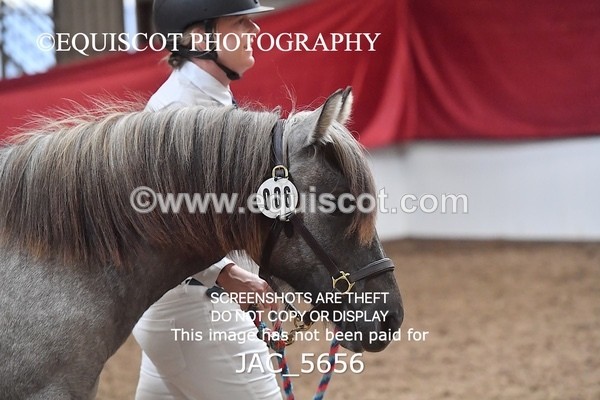 JAC_5656 - 6 Glenmuir Niamh