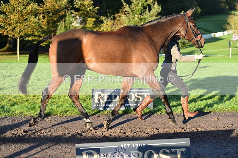 231022-090046-21505 - 658-DANCING.PADDE-Fenella.Redvers-TrotUp+SJ