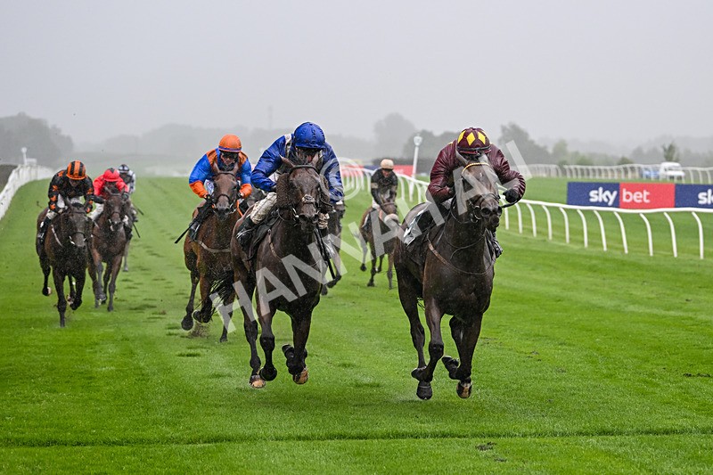 230725-Race 3-Emerald Army-0053 - Race 3