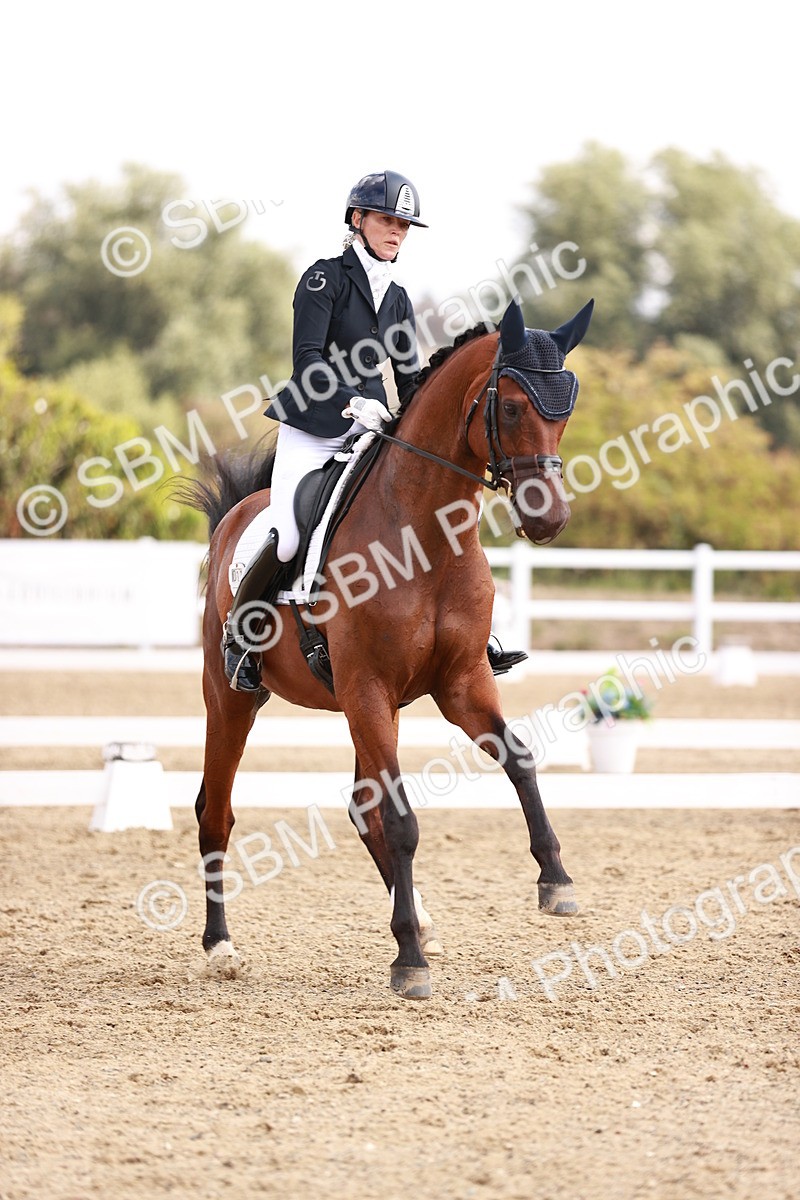 SBM_017656 - Class 11 - Advanced Medium 6