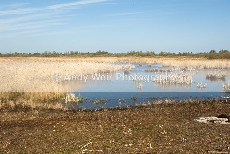 20110409-IMG_1512 - Woolston Eyes Nature Reserve