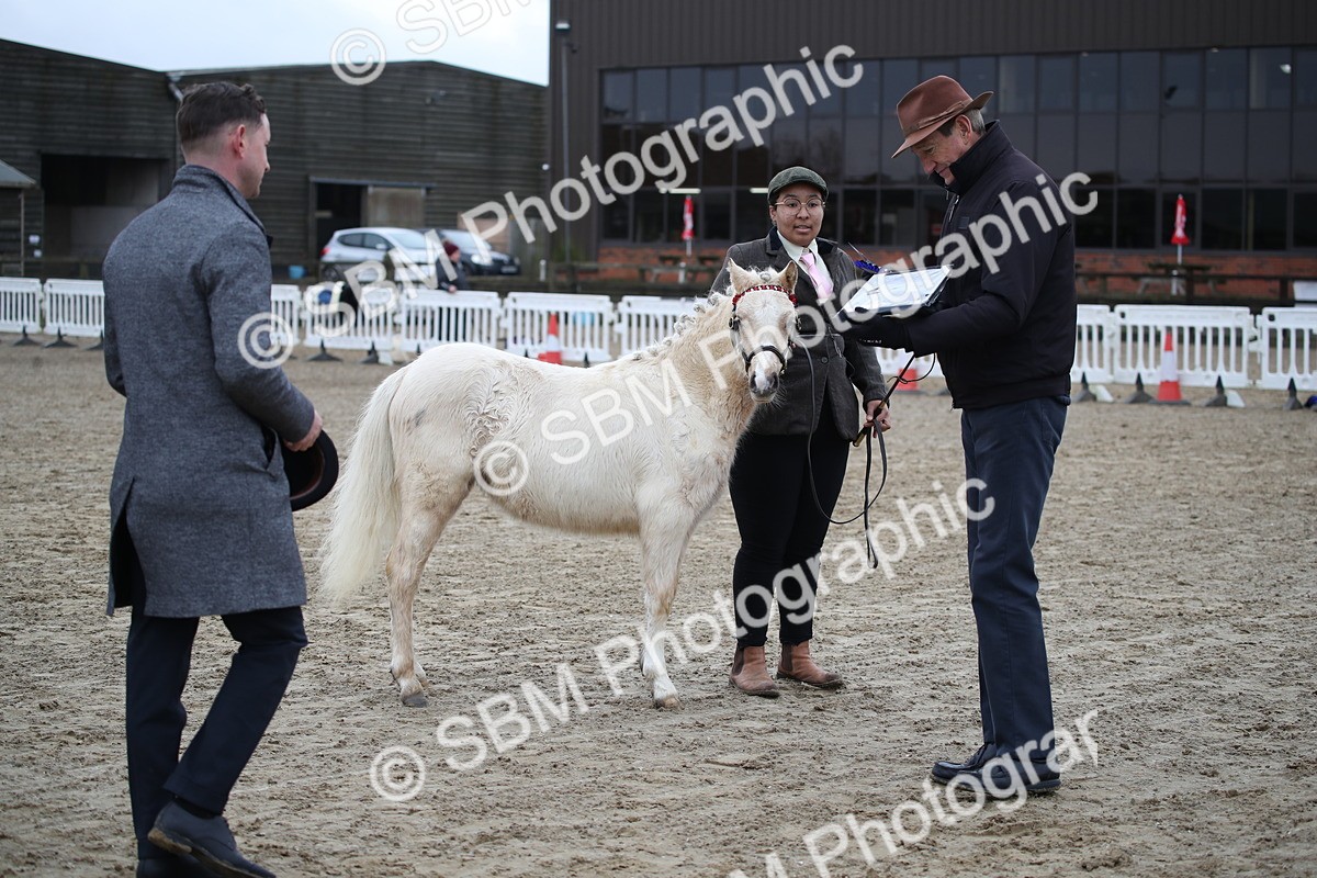 SBM_004581 - Class 5-9 - NPS In Hand-Show Hunter-Intermediate Ridden Inc Ridden Championship