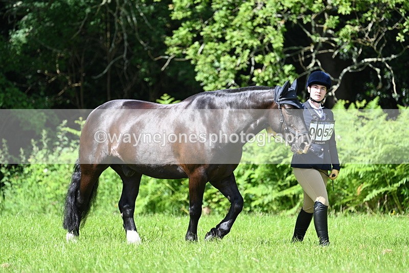 WJ7_1038 - Class 11 Condition & Turnout