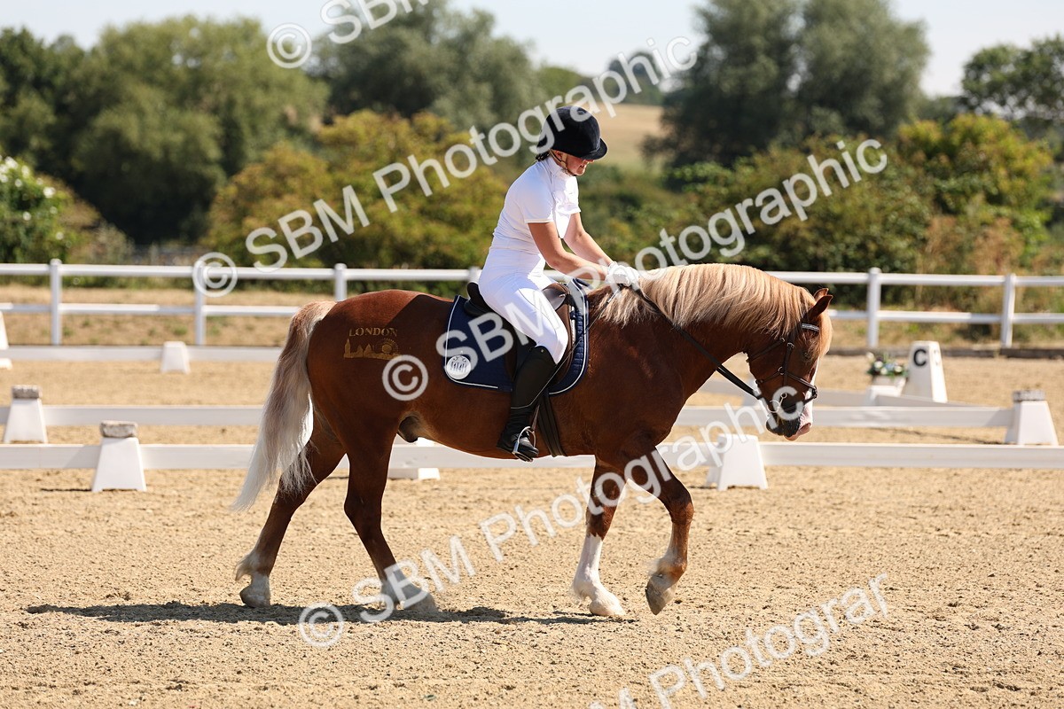 SBM_001090 - Intro 2