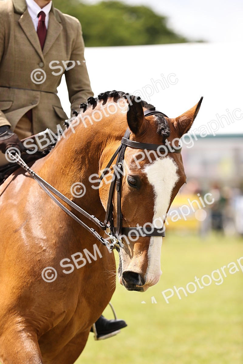 SBM_14569 - Class 88-89 - LIHS BSHA Rising Star of Ridden Hunter Type