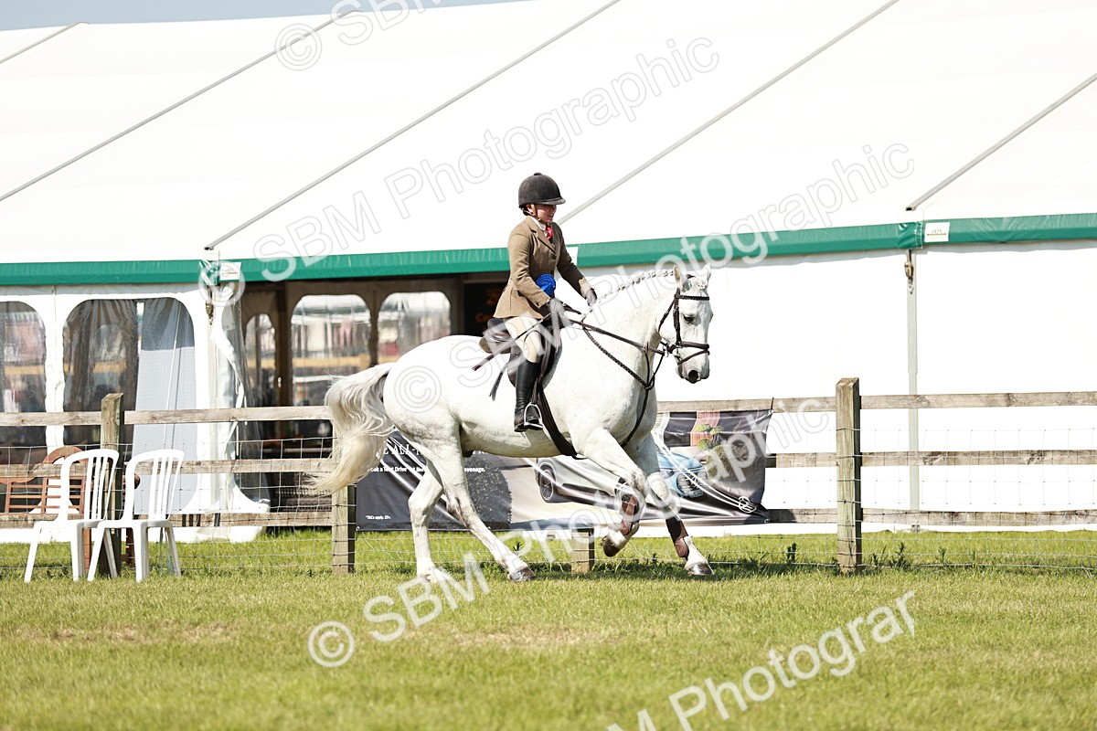 SBM_18528 - Class 112-113 - BSPS LIHS Working Sports Pony
