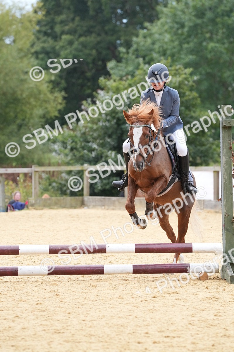 SBM_71738 - J3 - Mini Tour Junior Pony 40cm Championship