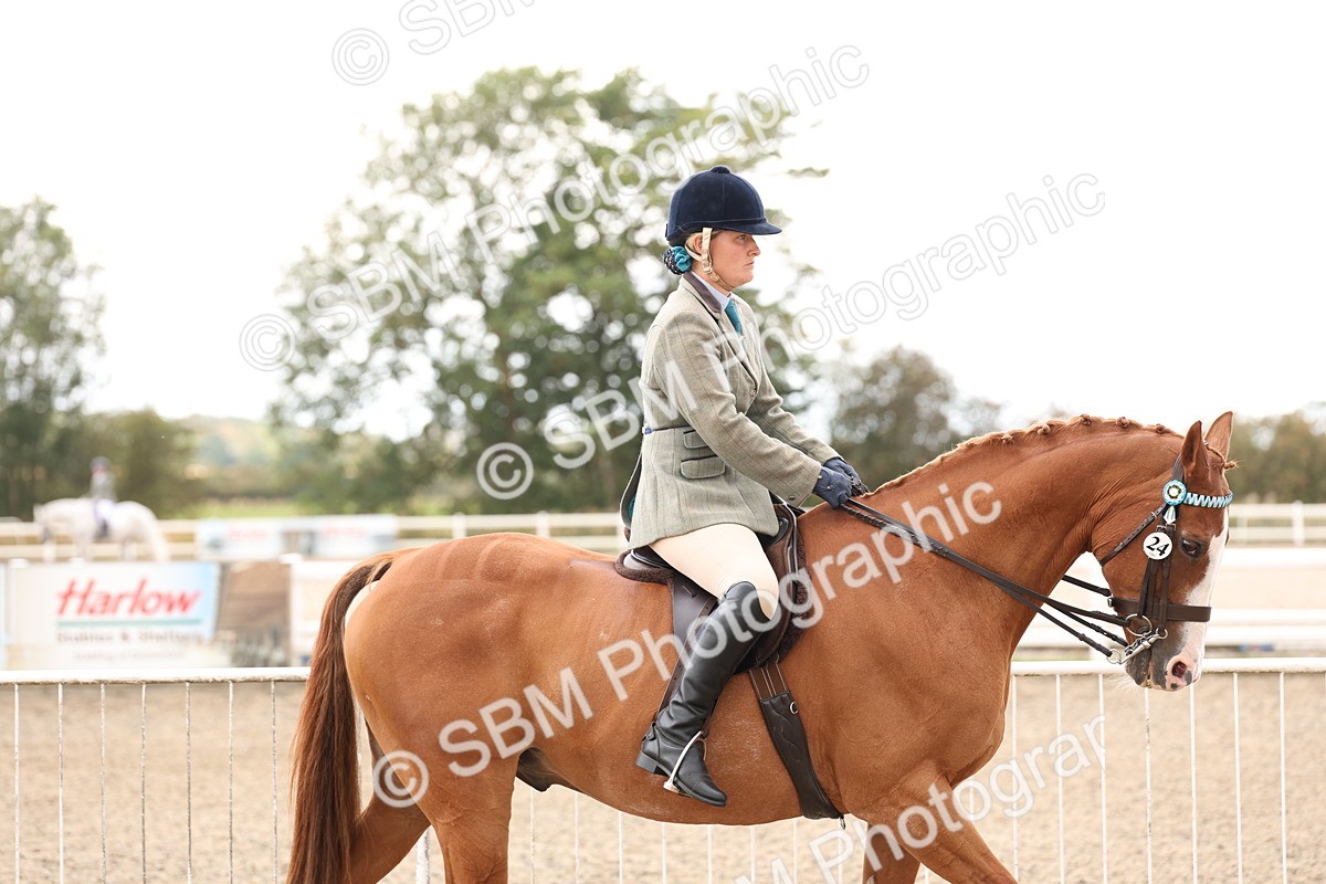 SBM_04164 - Class 54 - Riding Club Horse/Pony