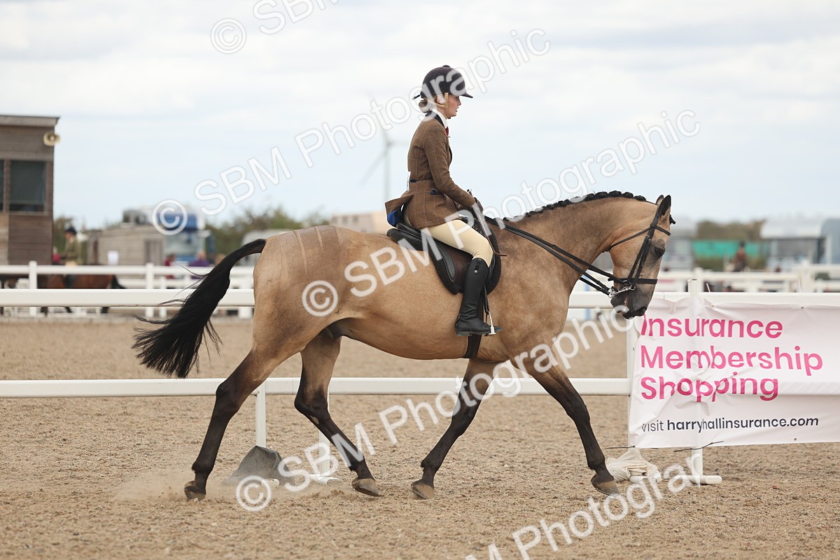 SBM_18119 - Class 315 - Best Horse-Rider Combination