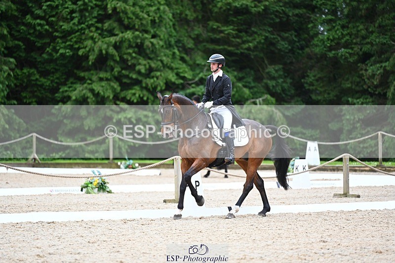 240524-180109-11546 - 162-HAZZLE_DAZZLE-Henry_Hobby