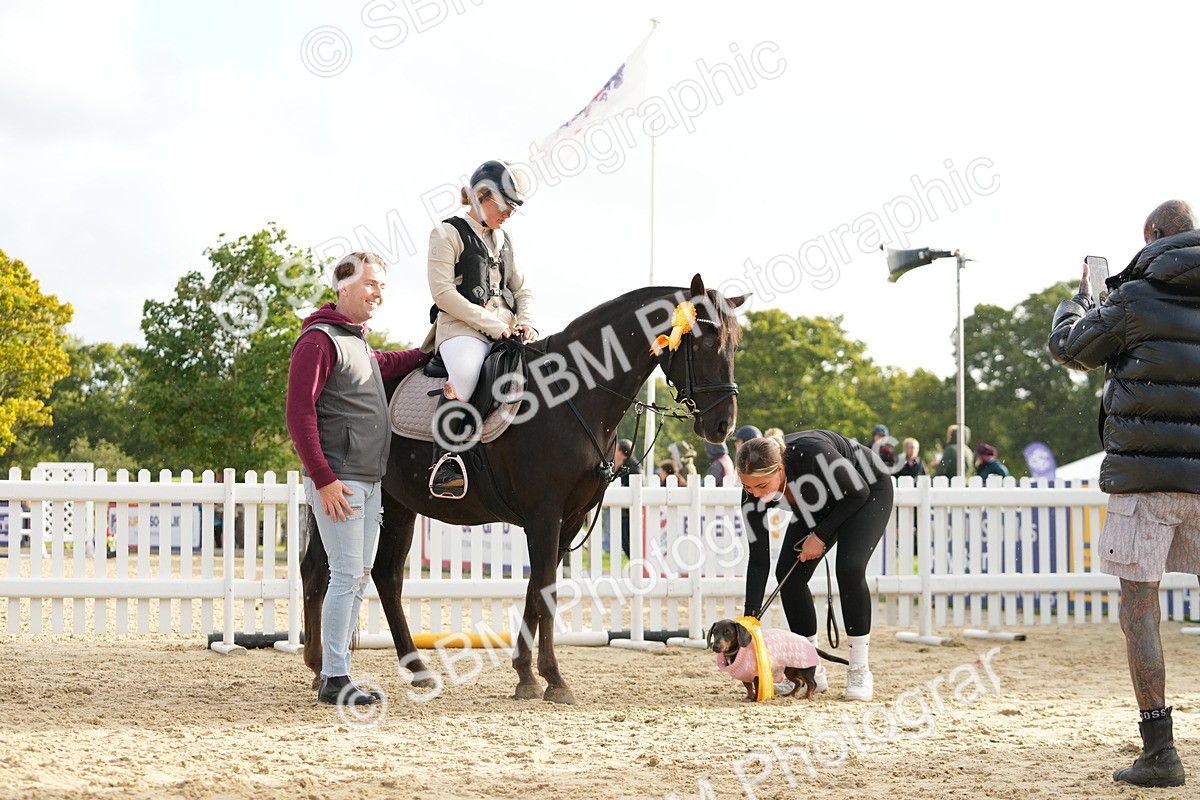 SBM_29247 - J43 - Horse & Hound Open 50cm