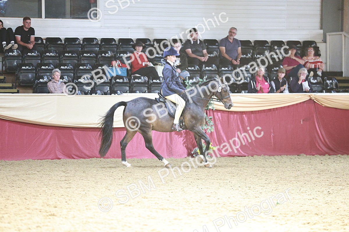 SBM_08292 - Class 11R - Regional Ridden Veteran