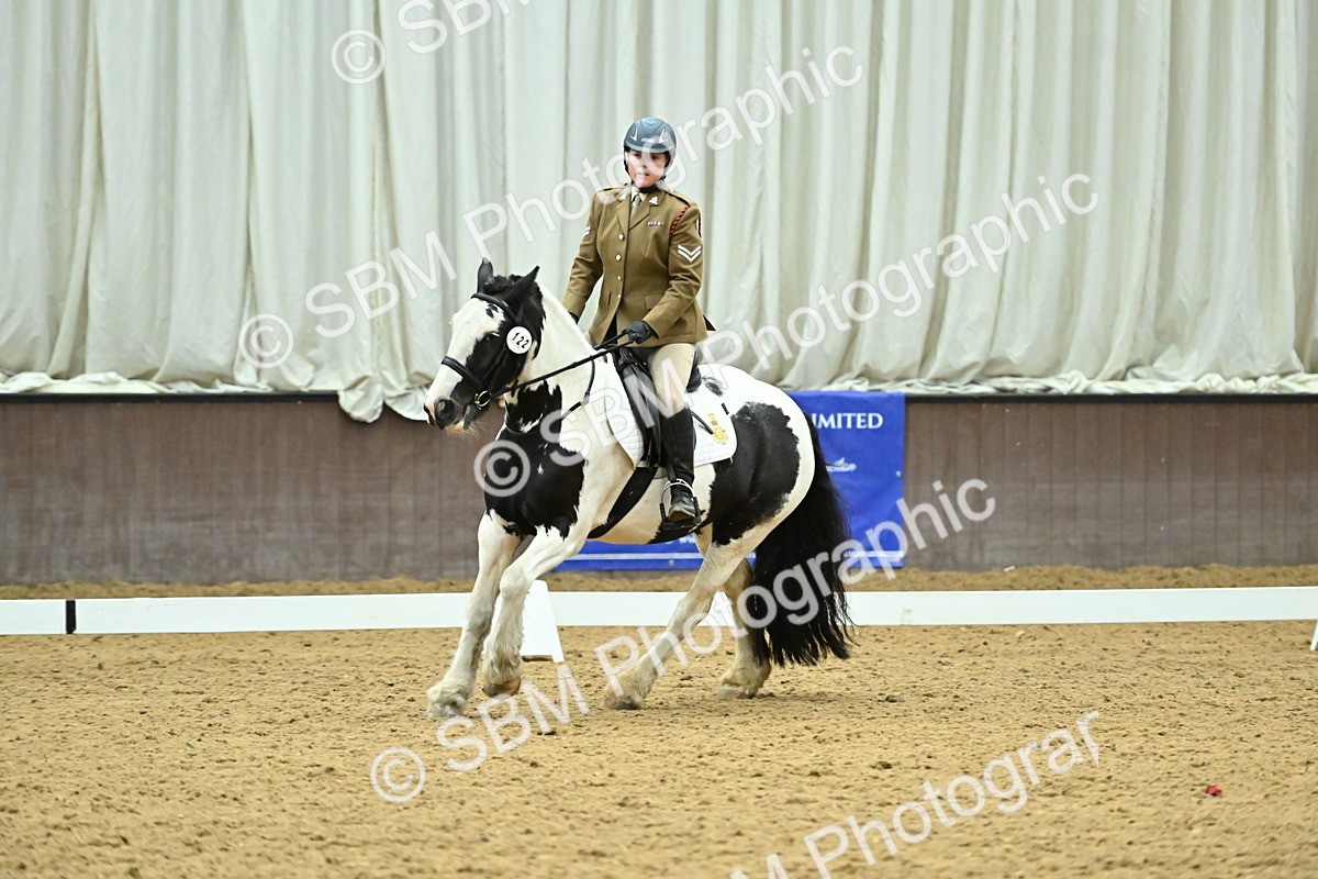 SBM_007392 - Class 81 - Novice 3