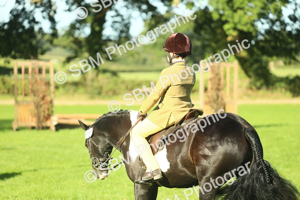 SBM_36410 - S29 - Novice & Newcomers Working Hunter Pony