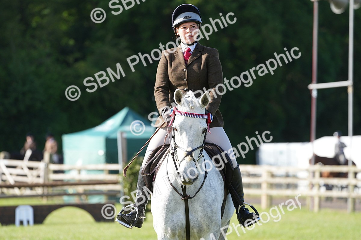 SBM_10488 - Class 97-98 - LIHS BSHA Rising Star Working Show Horse Hunter