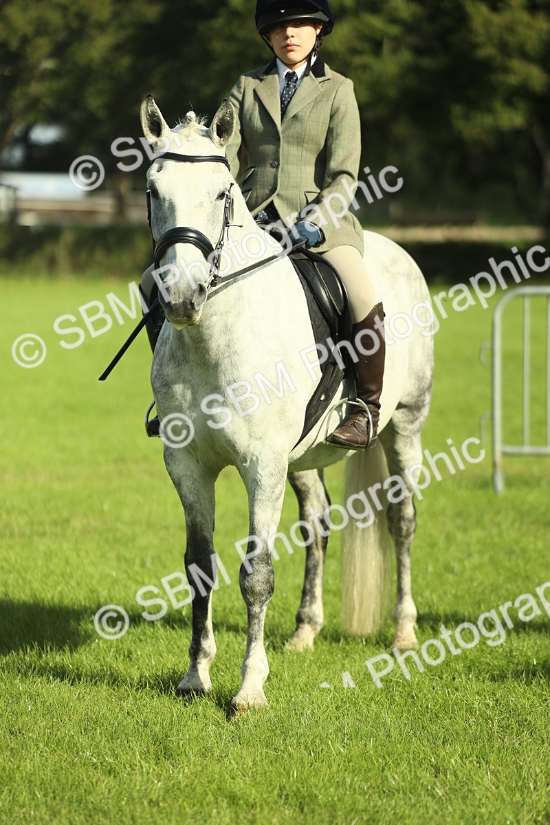 SBM_49830 - S32 - Novice & Newcomers Working Hunter