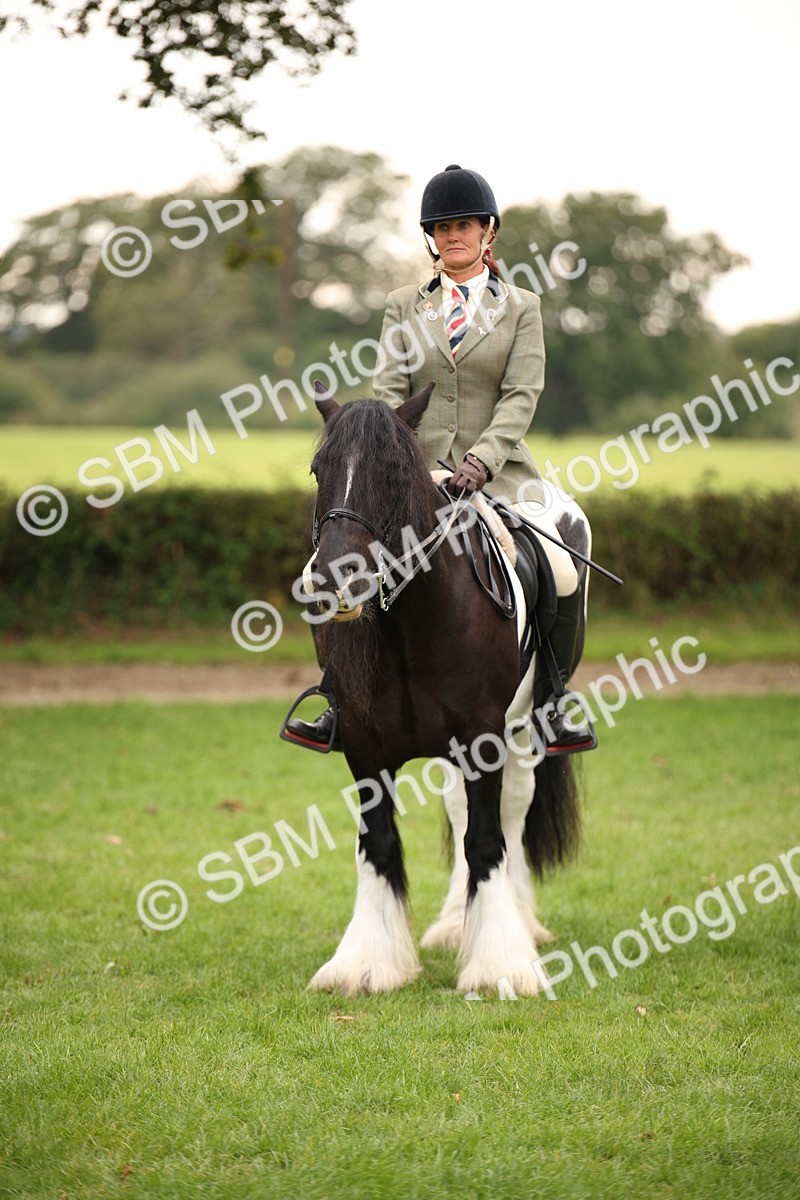 SBM_73561 - S68 - Traditional Cob Ridden