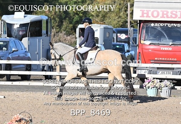 BPP_8469 - SHORT ARENA
