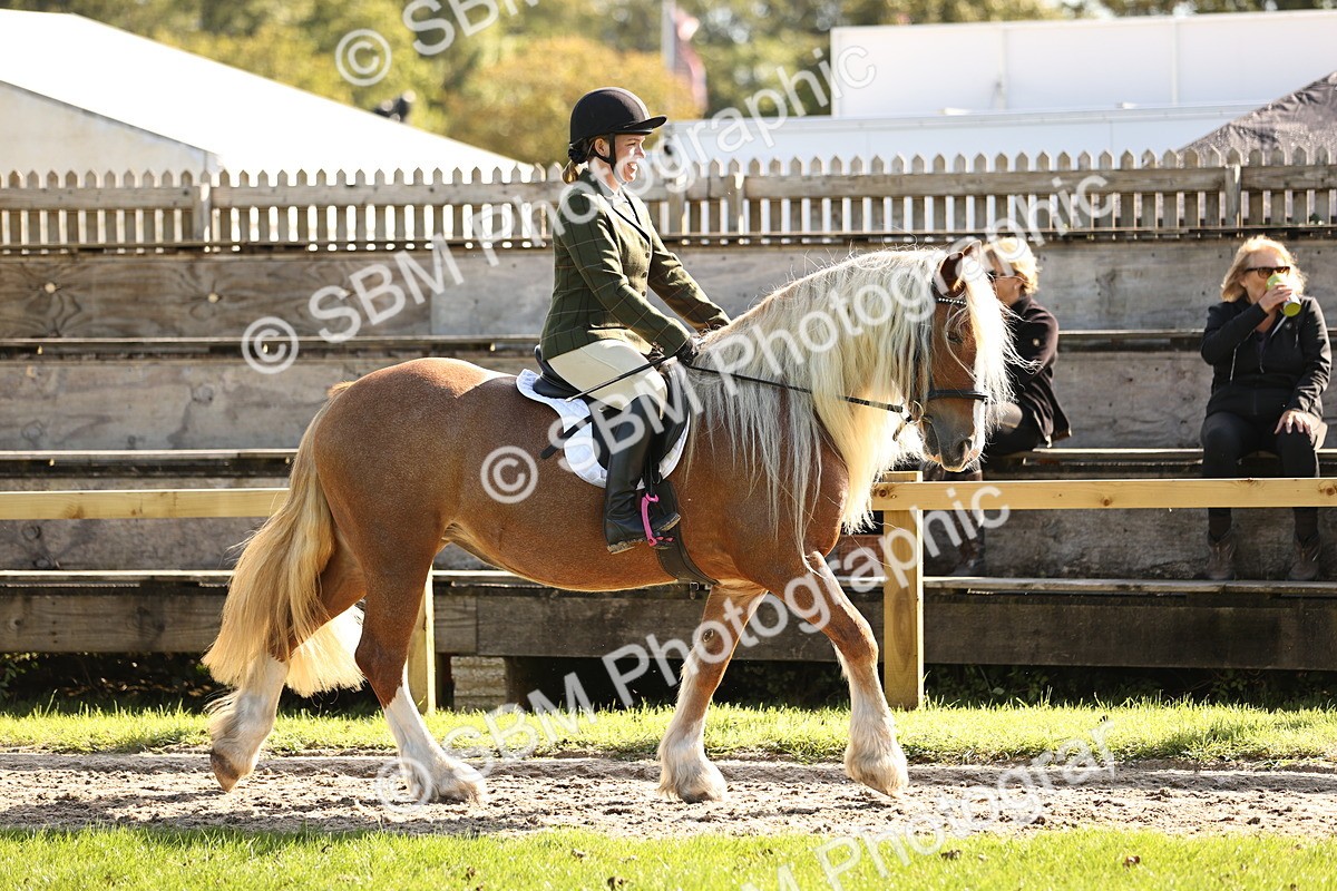 SBM_16997 - S2 - TSR Ridden Pony Showing